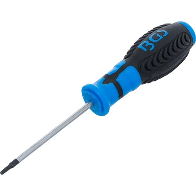Csavarhúzó | T-profil (Torx) T10 | Pengehossz 80 mm
