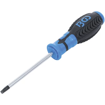 Csavarhúzó | T-profil (Torx) T30 | Pengehossz 100 mm
